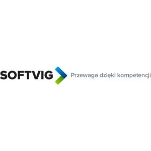 It automotive - Producent oprogramowania dedykowanego - SoftVig